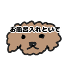 トイプー 子供に送る2（個別スタンプ：3）
