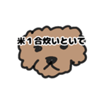 トイプー 子供に送る2（個別スタンプ：4）