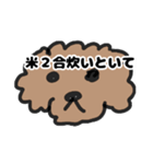 トイプー 子供に送る2（個別スタンプ：5）