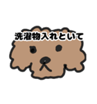 トイプー 子供に送る2（個別スタンプ：7）