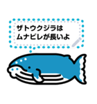 クジラのメッセージスタンプ（個別スタンプ：2）