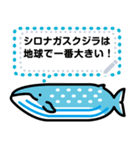 クジラのメッセージスタンプ（個別スタンプ：3）