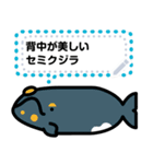 クジラのメッセージスタンプ（個別スタンプ：4）