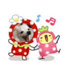ポメラニアンのナミ   NO4（個別スタンプ：7）