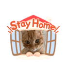 マンチカンのエリックくん♪（個別スタンプ：2）