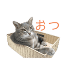 にほのおソラちゃん（個別スタンプ：4）