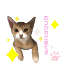 麦です。②（個別スタンプ：4）