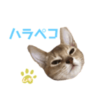 麦です。②（個別スタンプ：15）