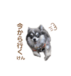 毎日使える！クッキーくん♩（個別スタンプ：4）
