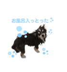 毎日使える！クッキーくん♩（個別スタンプ：14）
