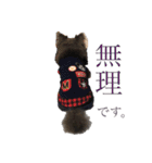 毎日使える！クッキーくん♩（個別スタンプ：20）