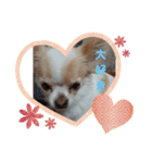 I♥ LOVE プティさん（個別スタンプ：6）