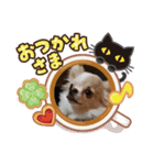 I♥ LOVE プティさん（個別スタンプ：8）