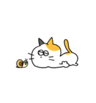 ミケねこ。（個別スタンプ：34）