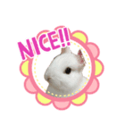 もっちー！うーたん！（個別スタンプ：3）