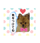 きくがわみかん3（個別スタンプ：5）