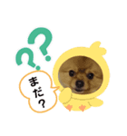 きくがわみかん3（個別スタンプ：6）