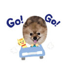 きくがわみかん3（個別スタンプ：8）