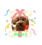 むぎちゃんの日常1（個別スタンプ：7）