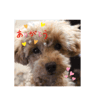 むぎちゃんの日常1（個別スタンプ：9）