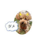 むぎちゃんの日常1（個別スタンプ：12）