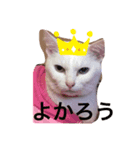 もふもふファミリー2（個別スタンプ：4）