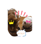 もふもふファミリー2（個別スタンプ：8）