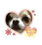 I ♥LOVE プティ2（個別スタンプ：1）