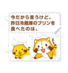 スピッツ 犬（個別スタンプ：17）