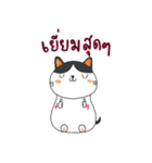 太った猫の家族（個別スタンプ：4）