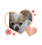 I♥ LOVE プティ1（個別スタンプ：6）