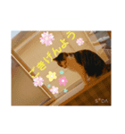 天愛来家（個別スタンプ：7）