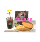 苺姫だよ（個別スタンプ：3）