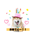 苺姫だよ（個別スタンプ：4）