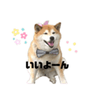 苺姫だよ（個別スタンプ：8）