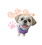 もなかのまいにち（個別スタンプ：1）