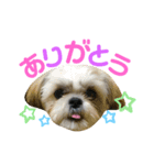 もなかのまいにち（個別スタンプ：7）