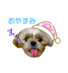 もなかのまいにち（個別スタンプ：8）