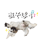 しろん（個別スタンプ：2）