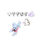 しろん（個別スタンプ：4）