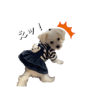 しろん（個別スタンプ：8）