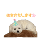しろん（個別スタンプ：13）