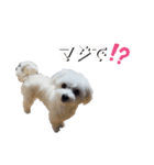 しろん（個別スタンプ：19）
