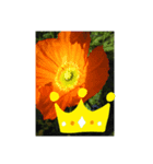 花だよ(笑)（個別スタンプ：1）