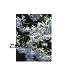 花だよ(笑)（個別スタンプ：3）