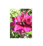 花だよ(笑)（個別スタンプ：5）