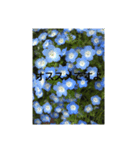 花だよ(笑)（個別スタンプ：8）