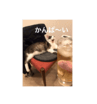 僕、サブローです（個別スタンプ：8）