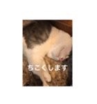 僕、サブローです（個別スタンプ：9）