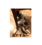 僕、サブローです（個別スタンプ：11）
